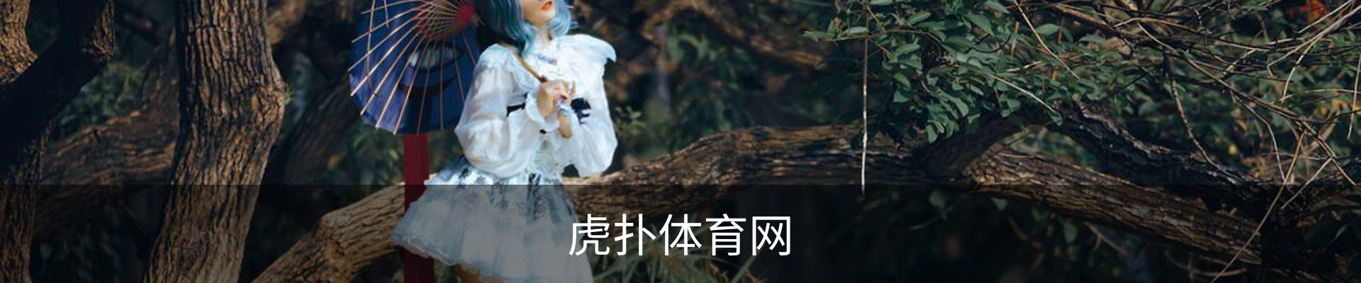 内页banner